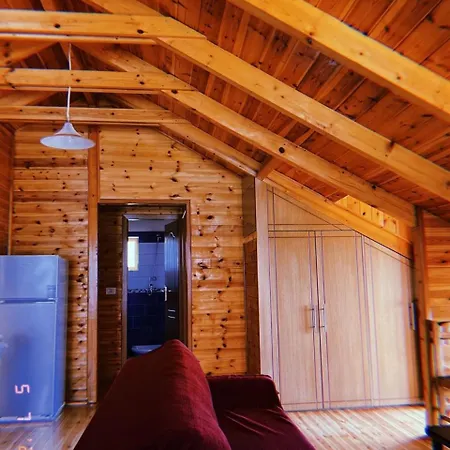 Mountain Attic Near Permet * Biovizhde