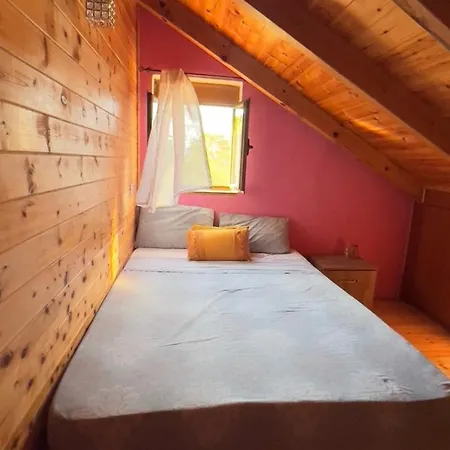Apartment Mountain Attic Near Permet Biovizhde