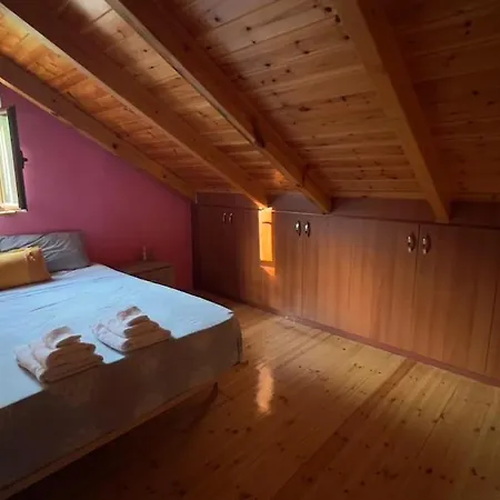 Mountain Attic Near Permet Apartment