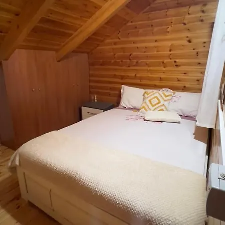 Apartment Mountain Attic Near Permet Biovizhde