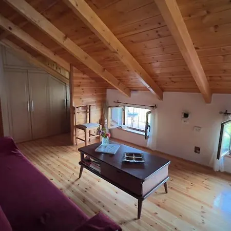 Apartment Mountain Attic Near Permet